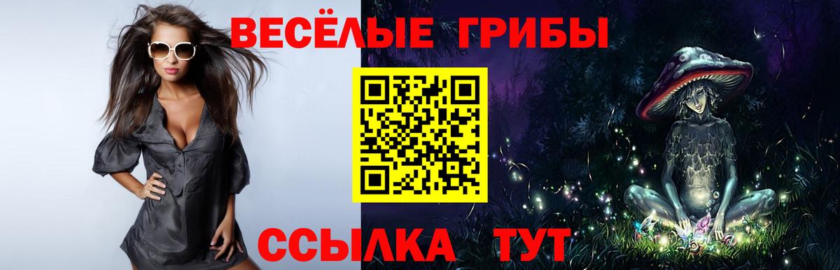 Псилоцибиновые грибы Magic Shrooms  Псилоцибиновые грибы мухоморы  купить наркотики сайты  Вход с VPN  Горячий Ключ 